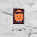 Imagen anterior del producto