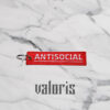 llavero antisocial