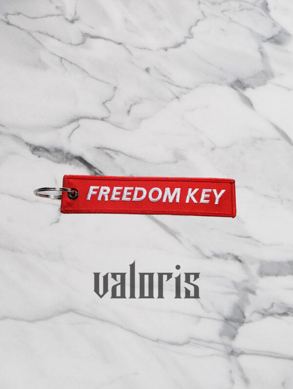 llavero freedom key