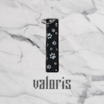 llavero huellas perro